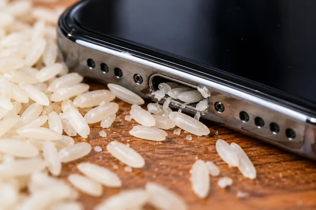 Rice particles near phone charging port